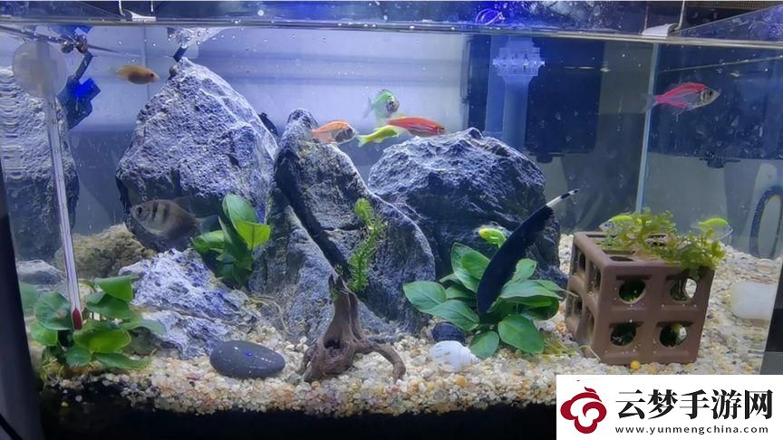 鈳鈳鈳鈳鈳鈳鈳水好多好