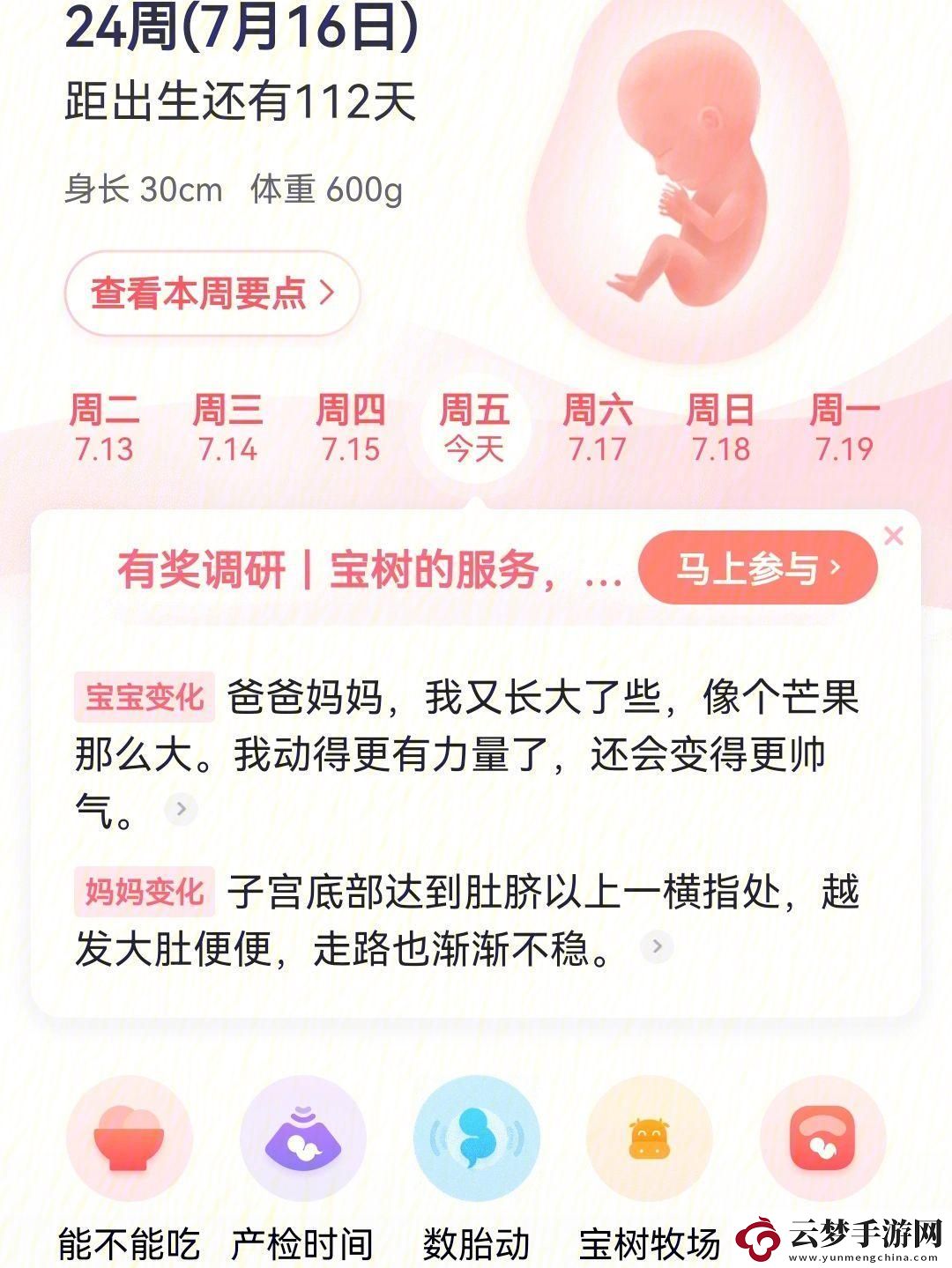 毛毛樂樂葆葆的另類成長手冊：創(chuàng)新熱潮中的詭異指南