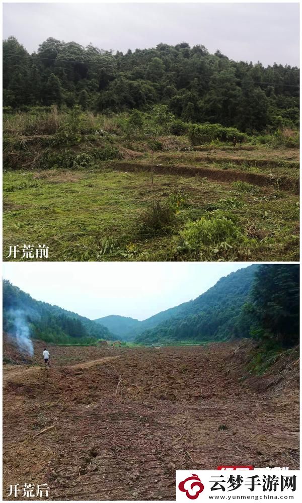 媽呀！我與老媽變身開荒俠-網(wǎng)友：這是農(nóng)田還是科幻場