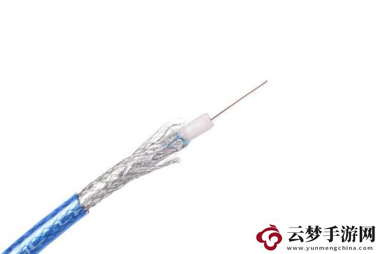 有線高清電視線