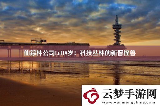 仙蹤林公司Ltd19歲：科技叢林的新晉怪獸