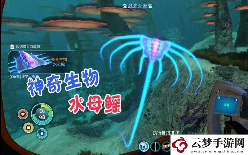 關(guān)于深海探秘