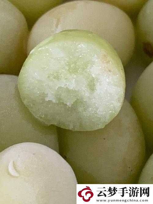 葡萄不準(zhǔn)掉出來晚上檢查