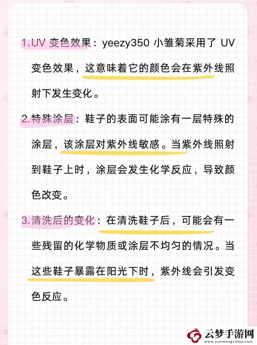 “350小雛菊”的色彩魔法