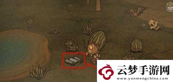 探索饑荒