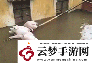 第一次穿高跟鞋的你