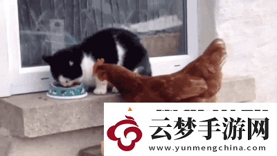 第一次穿高跟鞋的你-動(dòng)圖-在地鐵上脫鞋看我怎么治你