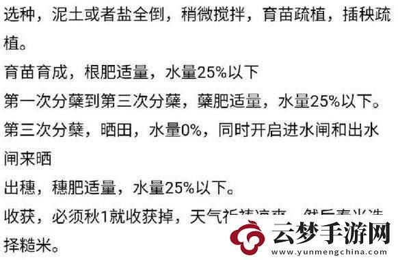 如何提**穗之咲稻姬作物產(chǎn)量