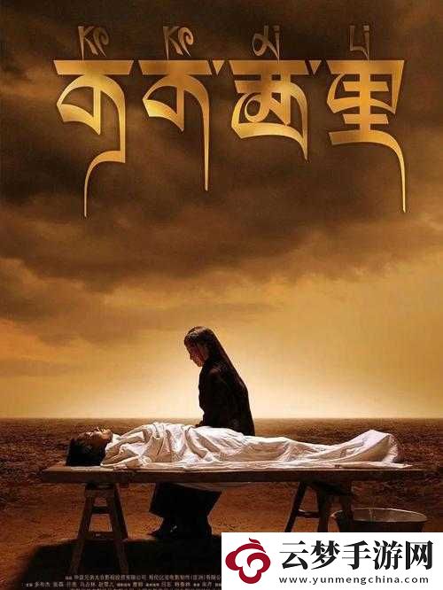 可可西里大但人文藝術