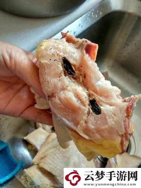 異物不取-肉界新紀(jì)錄！科技版「庖丁解牛」