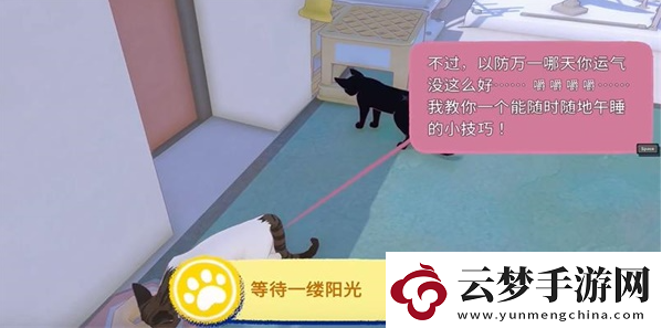 小貓咪大城市等待一縷陽光任務(wù)攻略