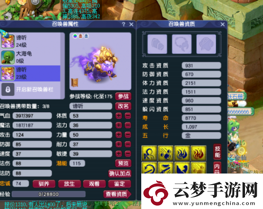 夢幻西游潘總一條龍打造服戰(zhàn)諦聽