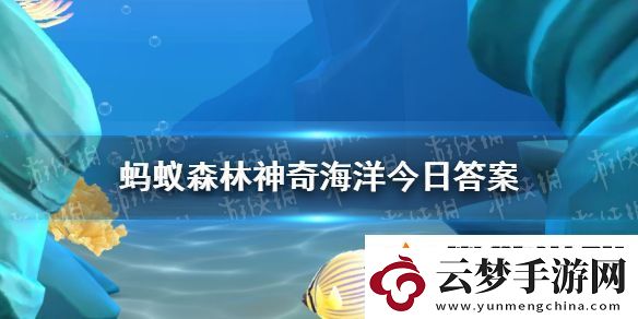 被稱(chēng)為海蜈蚣的海洋動(dòng)物是-神奇海洋11月13日答案