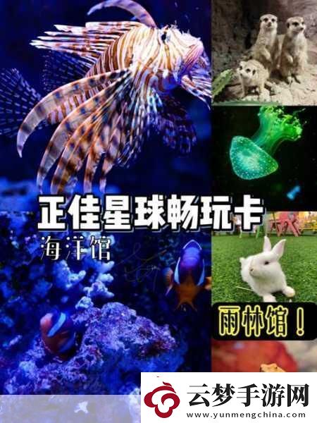 卡一卡二卡三免費站