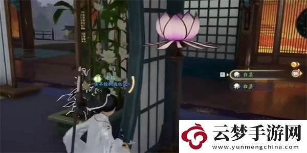射雕手游白曇夜幽怎么收集