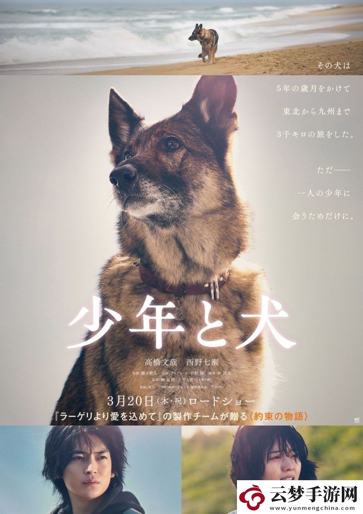 少年與犬預(yù)告首發(fā)高橋文哉主演直木獎力作