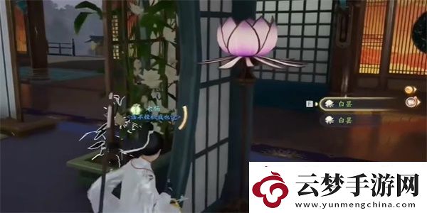 射雕手游白曇夜幽怎么收集