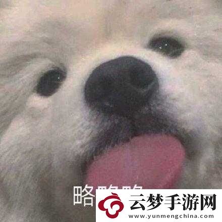 一邊伸舌頭一邊快速喘氣