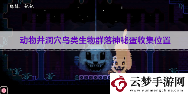 動(dòng)物井洞穴鳥(niǎo)類生物群落神秘蛋收集位置