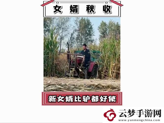 女婿一會(huì)叫媽一會(huì)叫阿姨什么意思