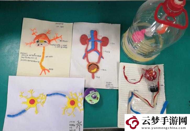 我成了生物課的教具篇