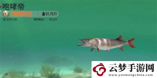 歡樂(lè)釣魚大師咆哮帝怎么釣
