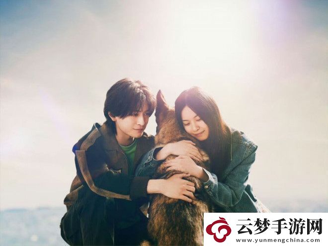 少年與犬預(yù)告首發(fā)高橋文哉主演直木獎(jiǎng)力作