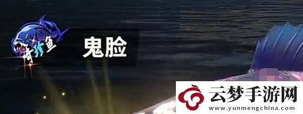 歡樂釣魚大師稀有魚排行是什么：社交互動(dòng)指南與團(tuán)隊(duì)配合