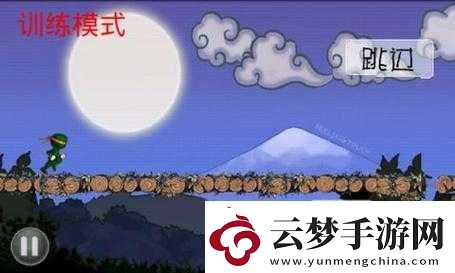 忍者突襲