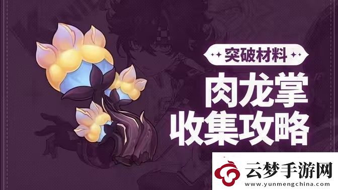 原神肉龍掌采集路線(xiàn)大全