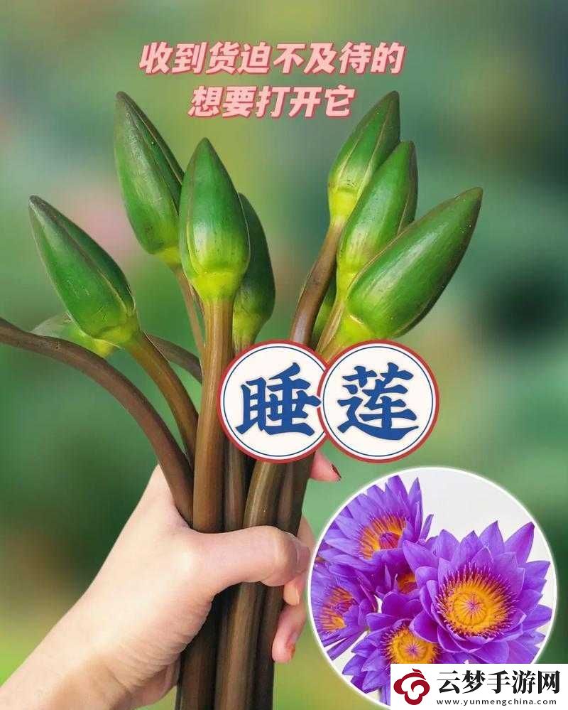 女性半夜蓮花開放的治療方法