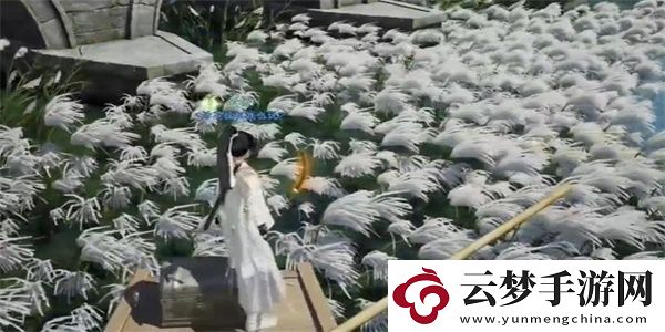 射雕手游梅花肯瓷怎么收集