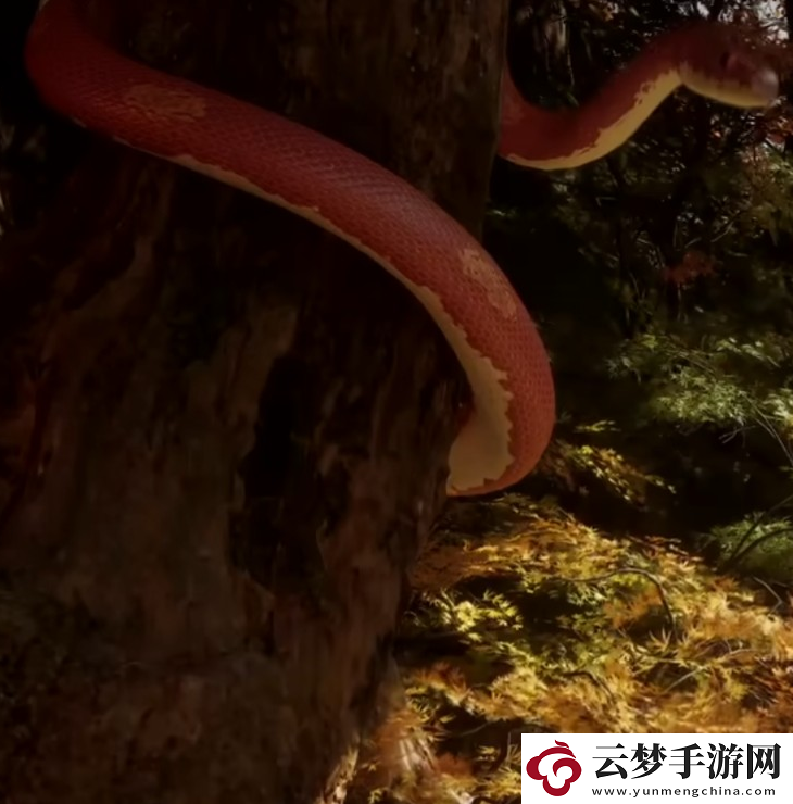 黑神話：悟空中的紅伊是誰