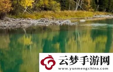 7x7x7x任意噪Cjwic：全面解析!