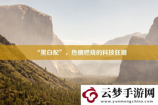 “黑白配”-熱情燃燒的科技狂潮