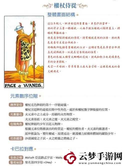 揭示侍從胸甲的奧秘