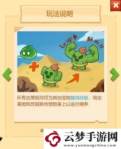 瘋狂騎士團(tuán)寵物合成攻略技巧分享