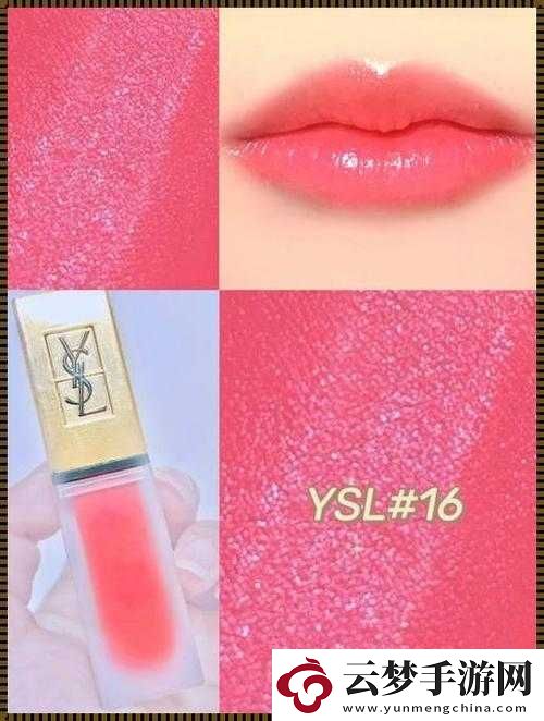 ysl
