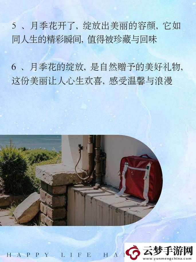 乖我們換個(gè)姿態(tài)最火：開(kāi)啟別樣精彩！