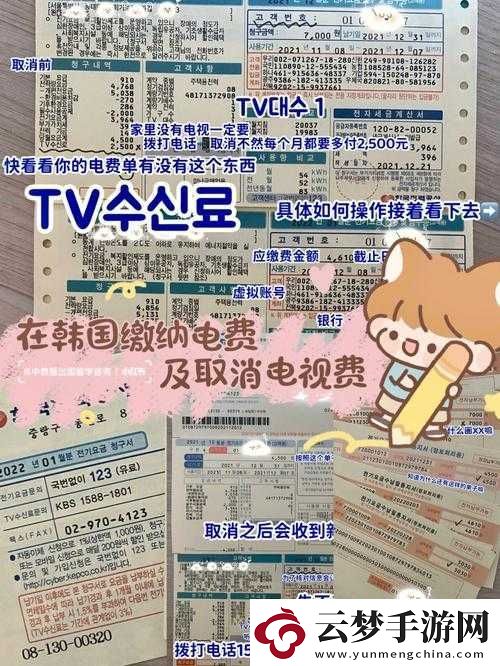 好看的韓國三色電費