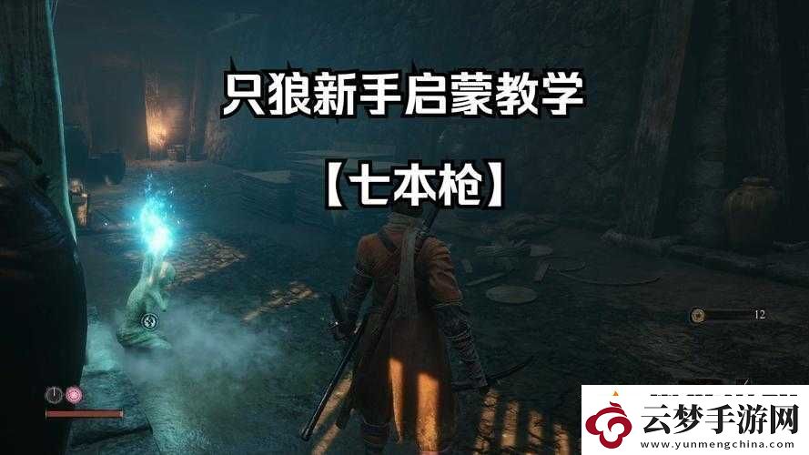 只狼槍的詳細(xì)經(jīng)驗(yàn)攻略玩法分享-從入門到精通全方位解析