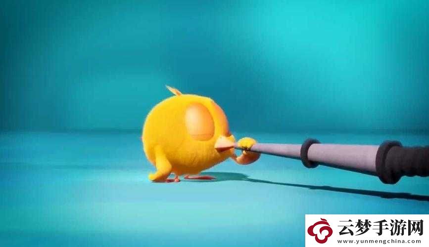 我里小雞硬邦邦