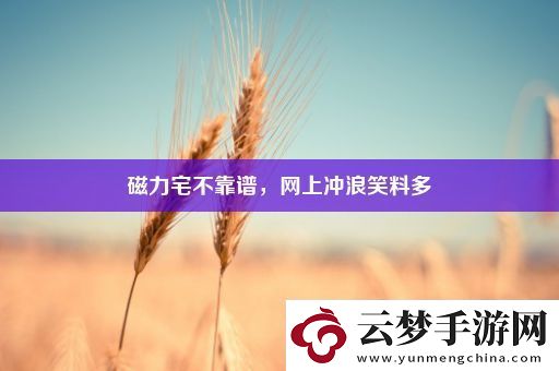 磁力宅不靠譜