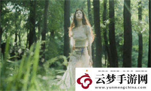 韓國(guó)理論大全：在故事與隱喻之間-探索現(xiàn)代社會(huì)的多重面向