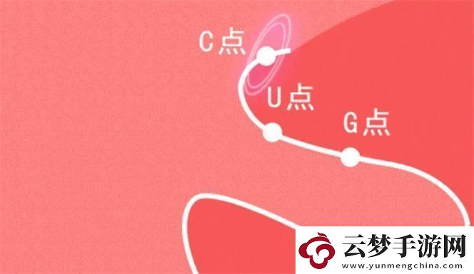 自w到高c：追求卓越的成長之路