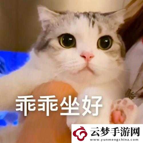 乖乖坐下來(lái)