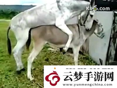“奇配狂想曲：動物界的‘選婿’大作戰(zhàn)！”