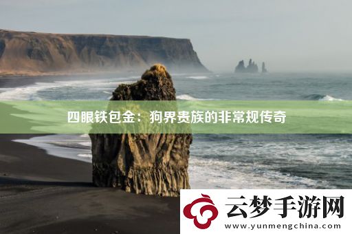四眼鐵包金：狗界貴族的非常規(guī)傳奇