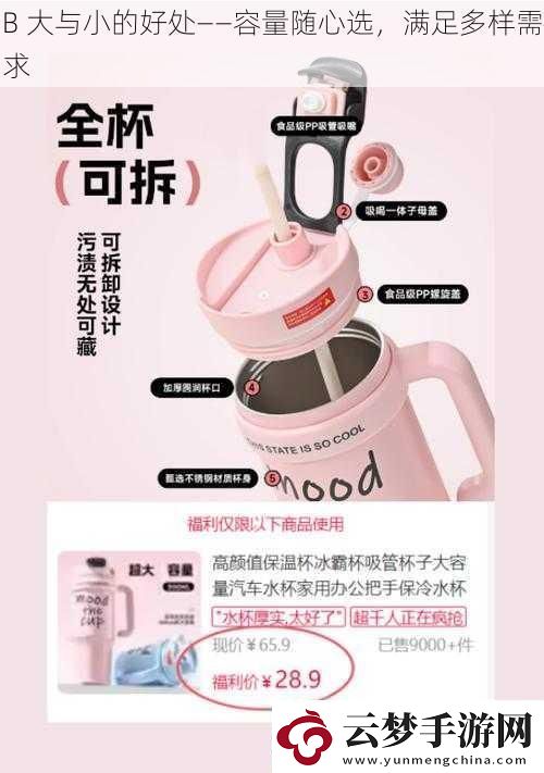 B大與小的好處——容量隨心選滿足多樣需求