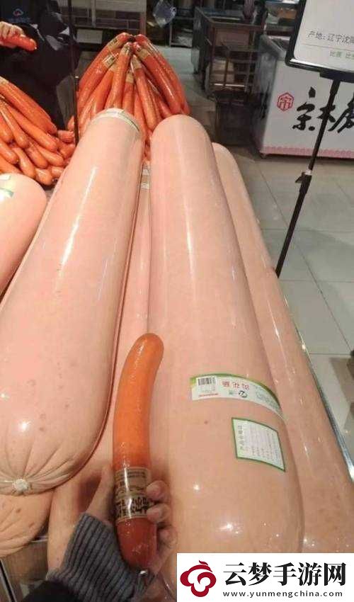 用大的火腿腸給自己用可以嗎：探討可行性